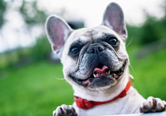 pexels-pixabay-160846